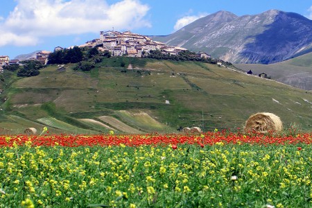 castelluccio di norcia panorama